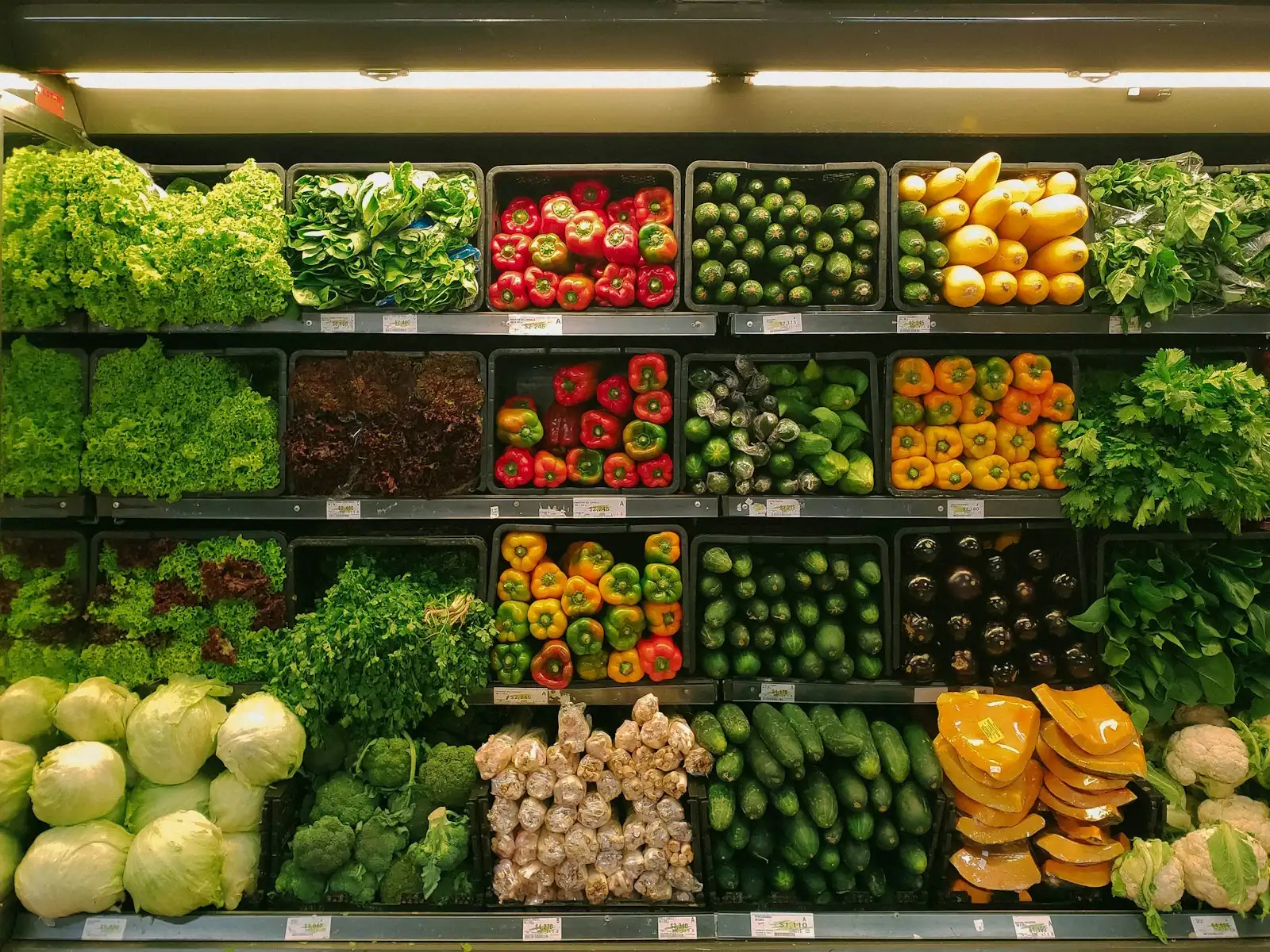 Grocery Delivery